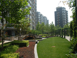 1575599829115071.png image.png