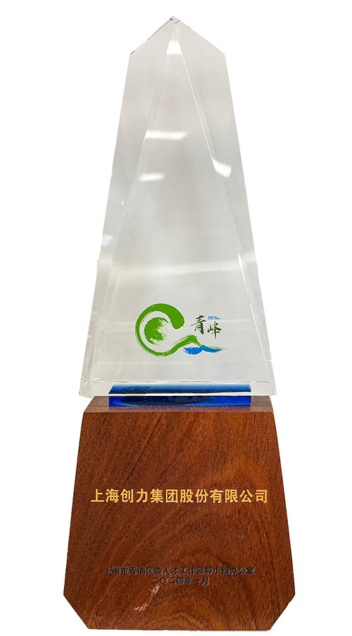 喜報(bào)！上海創(chuàng)力集團(tuán)榮獲2023年度青浦區(qū)百?gòu)?qiáng)優(yōu)秀企業(yè)等三項(xiàng)大獎(jiǎng)(圖3)